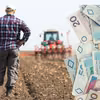 Nowy rządowy program zaskoczy rolników! Czy to ratunek dla polskiej wsi?