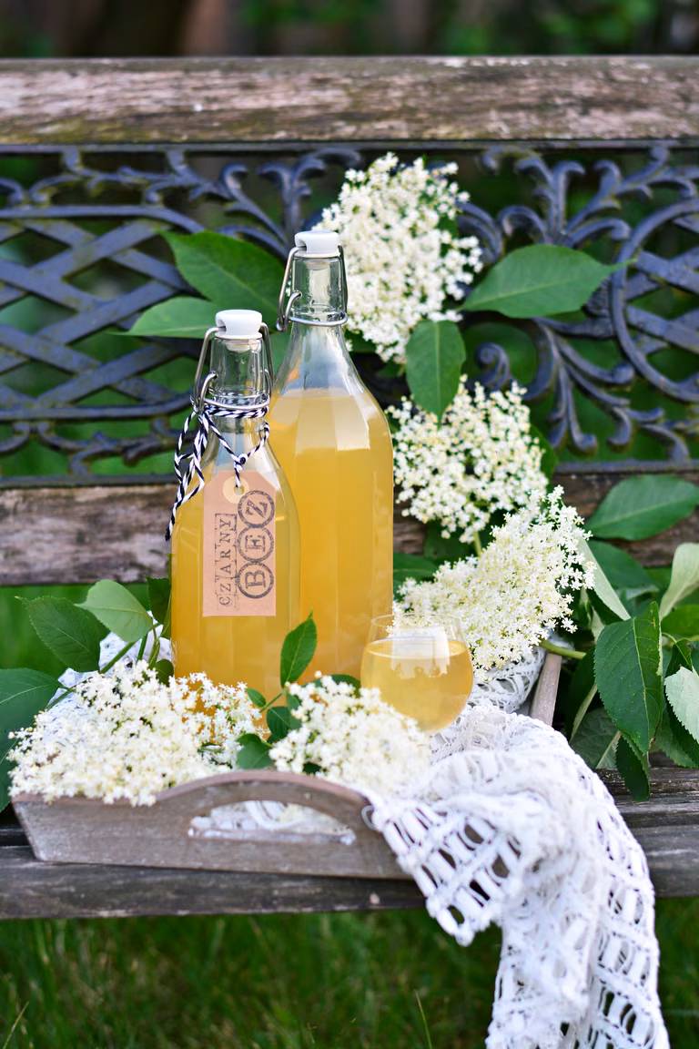 Syrop z kwiatów bzu czarnego - naturalny lek na przeziębienie (i wzmacnianie odporności)
