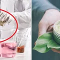Drugie życie naturalnych kosmetyków! Tradycyjne, polskie zioła znów na topie!