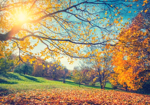Temperatury nawet do 20 stopni?! Zaskakujące prognozy na najbliższy tydzień!