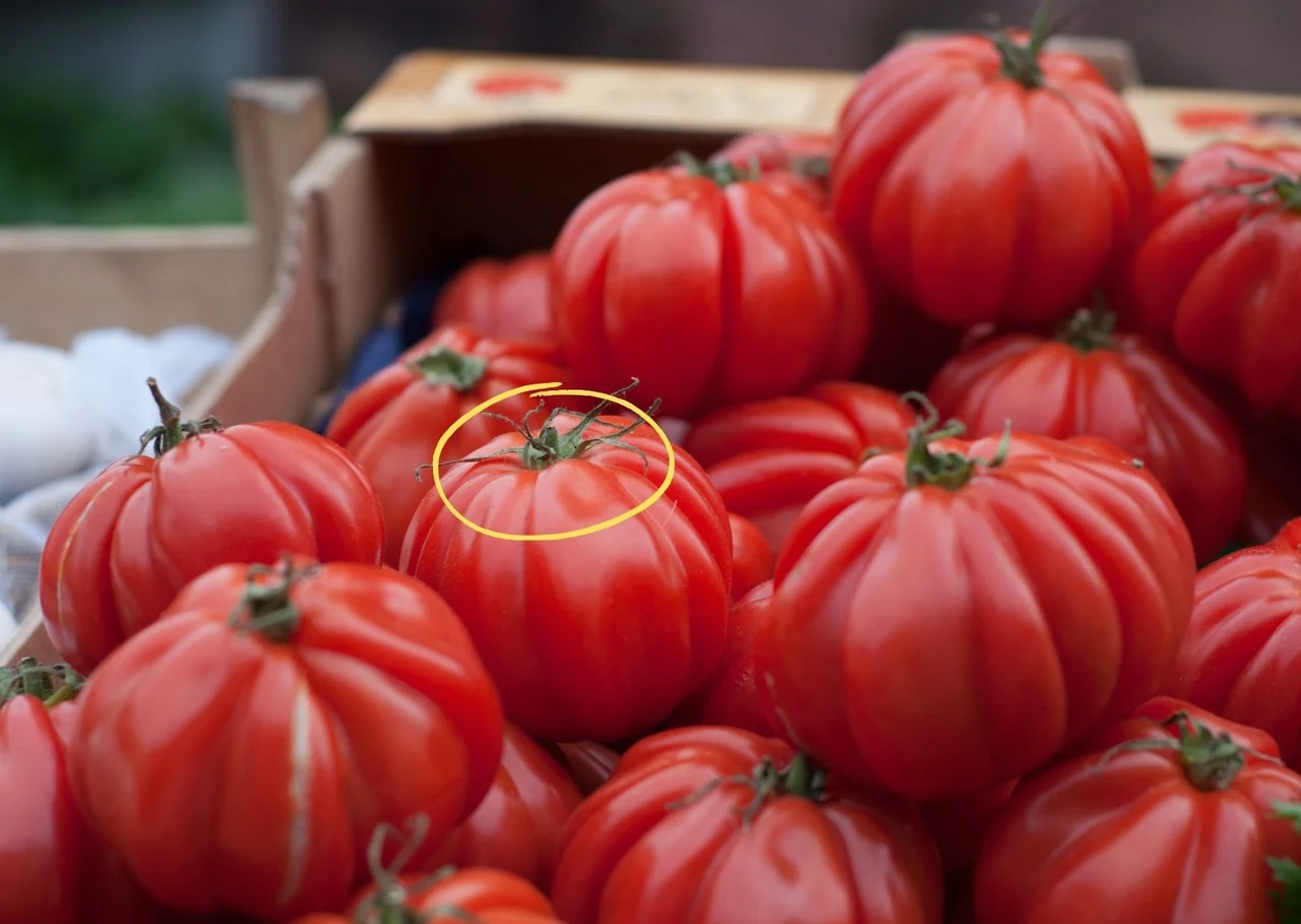 Jak wybrać smacznego pomidora? 5 cennych wskazówek