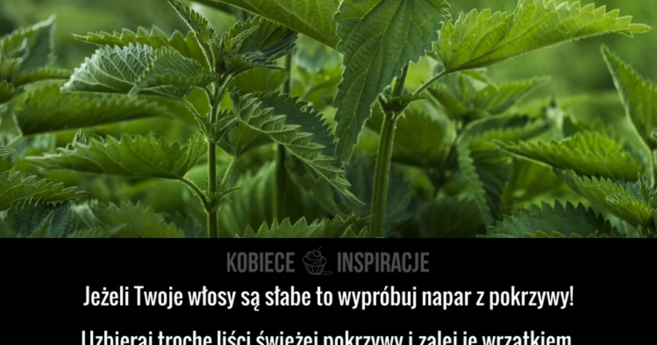 Jak naturalnie WZMOCNIĆ WŁOSY?