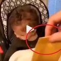 Świat zwariował! Nowy internetowy challange: Zobacz czym ludzie rzucają w swoje dzieci!