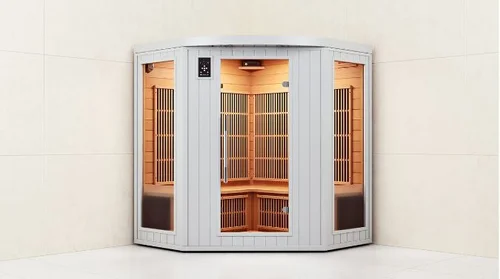 Jaka sauna w domu?