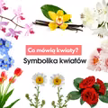 Symbolika kwiatów. Poznaj znaczenie najpopularniejszych kwiatów.