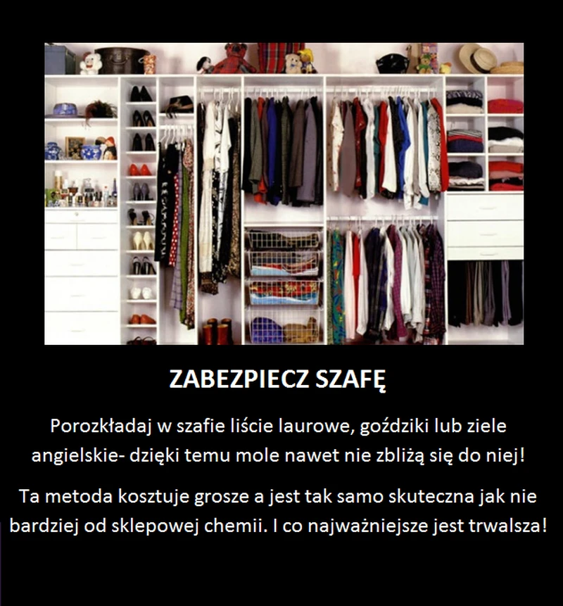 Zabezpieczenie szafy przed molami