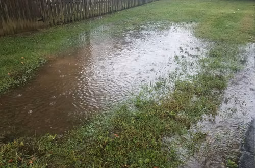 Woda stoi na trawniku po ulewie? Tego błędu nie popełniaj