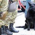 Dzień Służby Celnej: Historia, Wyzwania i Przyszłość