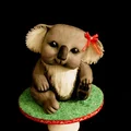 Torcik z koalą