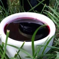 Syrop z owoców czarnego bzu