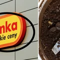 Zobaczcie, jak Biedronka traktuje klientów składających reklamację!
