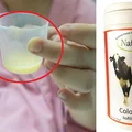 Siara bydlęca – najzdrowszy produkt pochodzenia zwierzęcego! Poznaj jej zalety