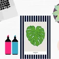 Monstera – inspirujący motyw wnętrzarski i gadżeciarski. Darmowy plakat do pobrania.