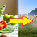 Sprawdź które OWOCE i WARZYWA wchłaniają NAJMNIEJ PESTYCYDÓW!