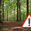 Niepozorne owady wywołują alarm. Służby apelują o ostrożność!