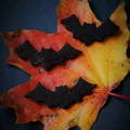 Keto czarne ciastka na Halloween (Paleo LowCarb)