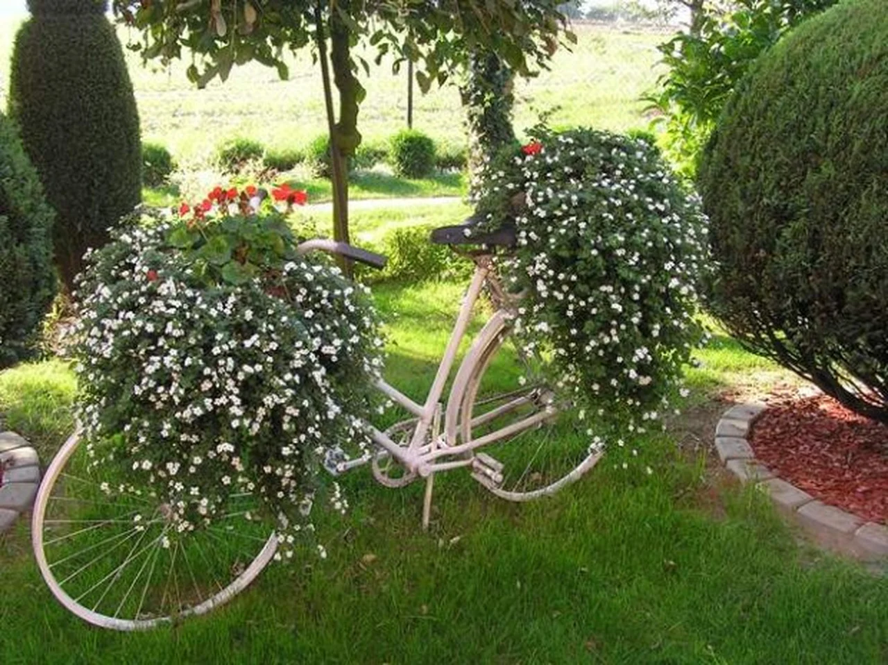 Stary rower i kwiaty