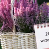 Kartka z kalendarza: 28 września - imieniny, gwiazdy, nietypowe święta! Odkryj sekrety tego dnia!