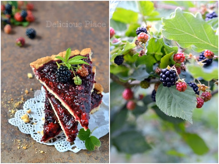 Tarta z jeżynami