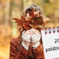 Kartka z kalendarza: 20 października - imieniny, gwiazdy, nietypowe święta! Odkryj sekrety tego dnia!