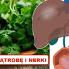 Oczyść WĄTROBĘ i NERKI przy pomocy tego naturalnego środka
