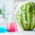 5 mitów żywieniowych, w które możesz nadal wierzyć! Czas je obalić.