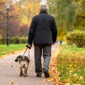 4320 zł emerytury dla seniora w 2026 roku!? ZUS zapowiedział wzrost wielu świadczeń