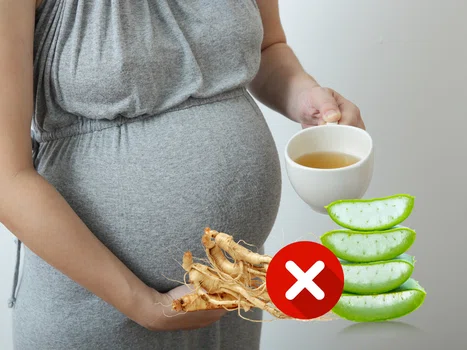 Te zioła są zakazane w ciąży! Uważaj na nie!
