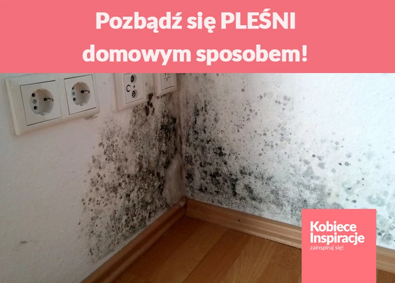 Pozbądź się PLEŚNI domowym sposobem!
