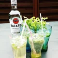 Mohito