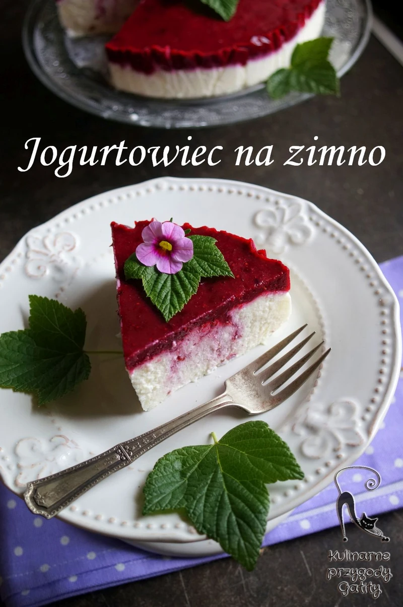 Dietetyczny jogurtowiec (sernik) na zimno z czarną porzeczką
