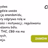 Co to jest CBG? Kannabigerol to perspektywa na przyszłość