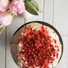 Pavlova z granatem