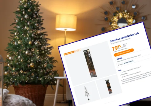 Klasyczne choinki to już przeszłość! Teraz takie urocze drzewka LED za 79 zł z Action robią furorę w domach i ogrodach Polaków