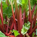 Sposób na wyczyszczenie miedzianych naczyń