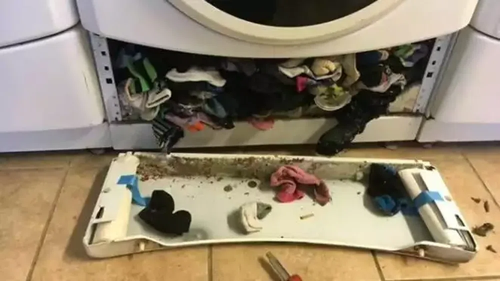 Znowu zgubiłeś skarpetki w pralce? Wiemy gdzie są!