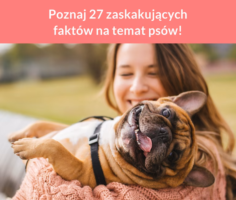 Poznaj 27 zaskakujących faktów na temat psów!