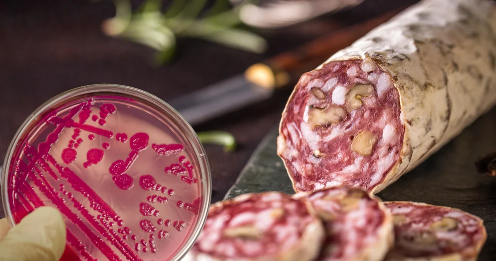 Salmonella wykryta w salami z Lidla! GIS ostrzega Kobieceinspiracje.pl