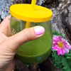Smoothie z jarmużem