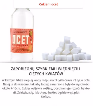 Co zrobić żeby kwiaty szybko nie zwiędły?