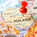 10 najpopularniejszych ciast w Polsce. Wszyscy je uwielbiamy!