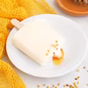 Lody miodowe z pierzgą
