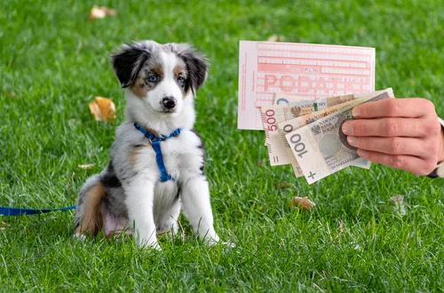 Ile wyniesie podatek od psa w 2023 roku?