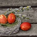 Naturalne sposoby barwienia jajek