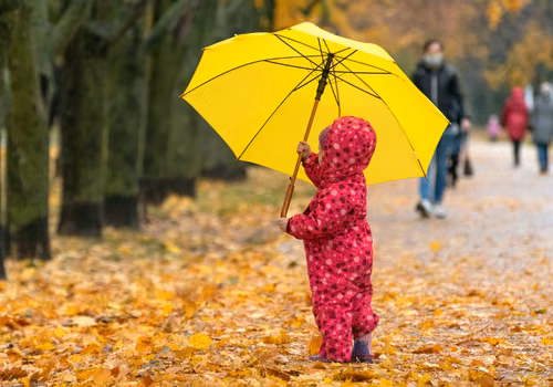 Oprócz 800 plus DODATKOWE 1500 zł dla pracujących rodziców! ZUS przypomina zasady
