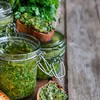 PESTO Z KOLENDRY