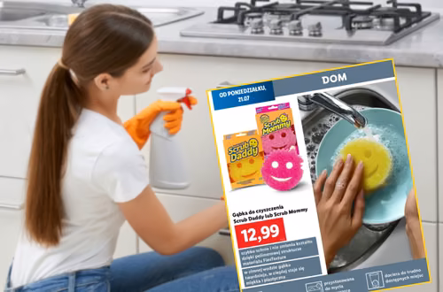 Kobiety pokochały te gąbeczki z Lidla za 13 zł! Zimna i gorąca woda zmieniają je w cudo do sprzątania kuchni i nie tylko