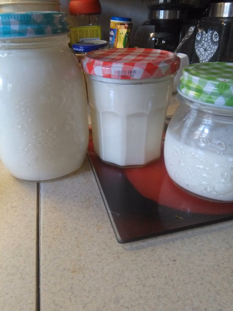 Domowy jogurt naturalny