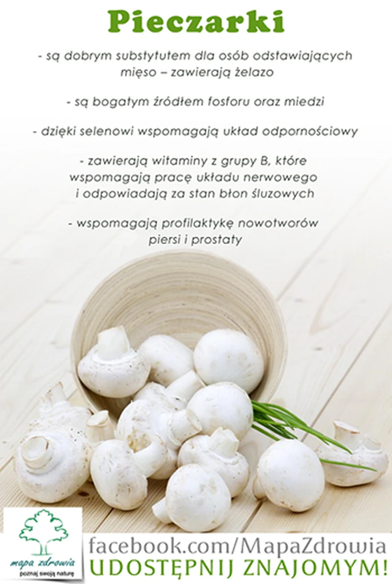 Ciekawostki o pieczarkach