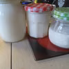 Domowy jogurt naturalny